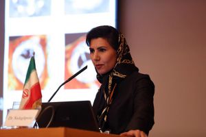 نهمین سمینار انجمن اکوکاردیوگرافی ایران-1395: عکس شماره 9 / 12